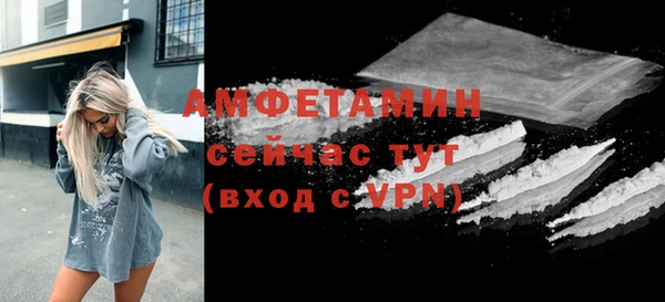 гидра Богородицк