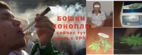 стафф Богданович