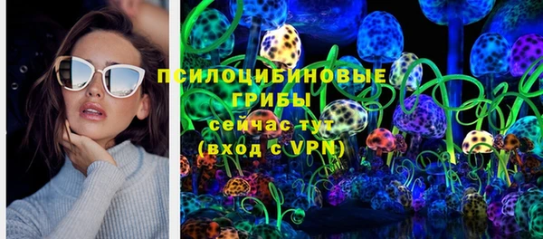 гидра Богородицк