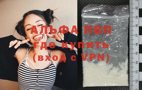 гидра Богородицк
