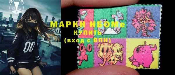 гидра Богородицк