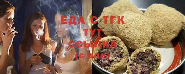 гидра Богородицк
