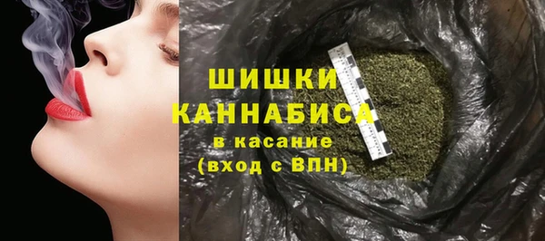стафф Богданович